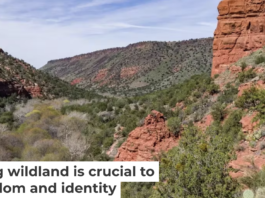 The Wet Beaver Wilderness in Coconino National Forest in Arizona is one of many designated wilderness areas in the U.S. Deborah Lee Soltesz